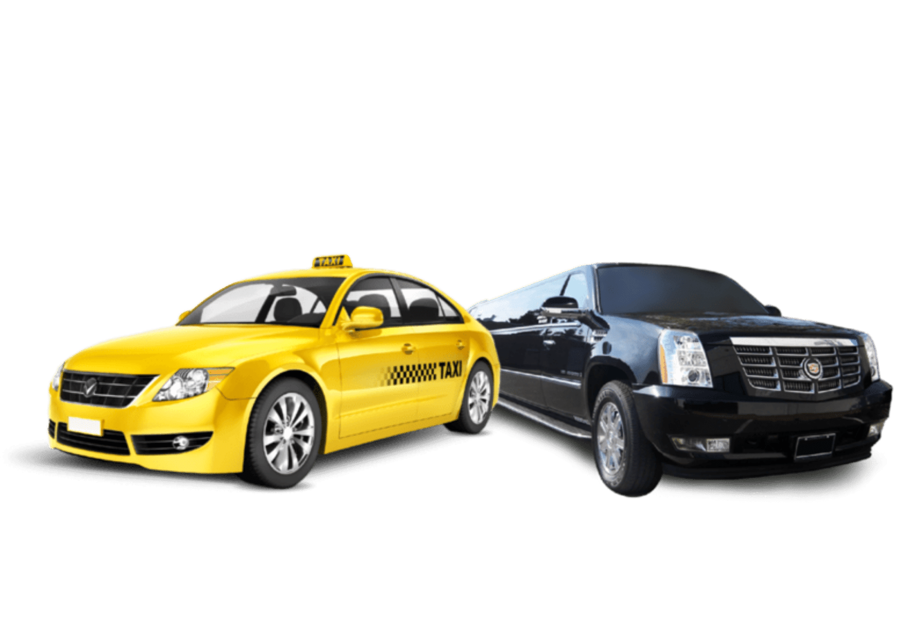 Chauffeur Programs 2 PUBLIC CHAUFFEUR LICENSE 6 x 4 in